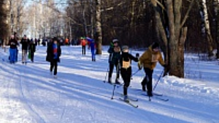 Лично-командные соревнования по лыжным гонкам среди учащихся школ 2001 годов рождения и младше