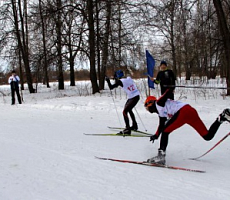 19 февраля 2017 года в Парке 50 лет Октября на лыжной трассе МБУ ФСО СШОР по зимним видам спорта прошло открытое Первенство города по лыжным гонкам «Коломенская Лыжня»
